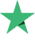 trustpilot logo 1
